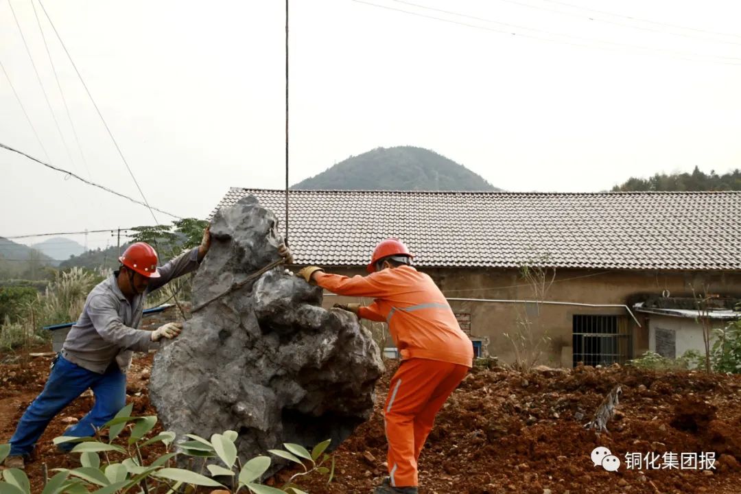 威尼斯87978797(中国)老品牌-官方网站