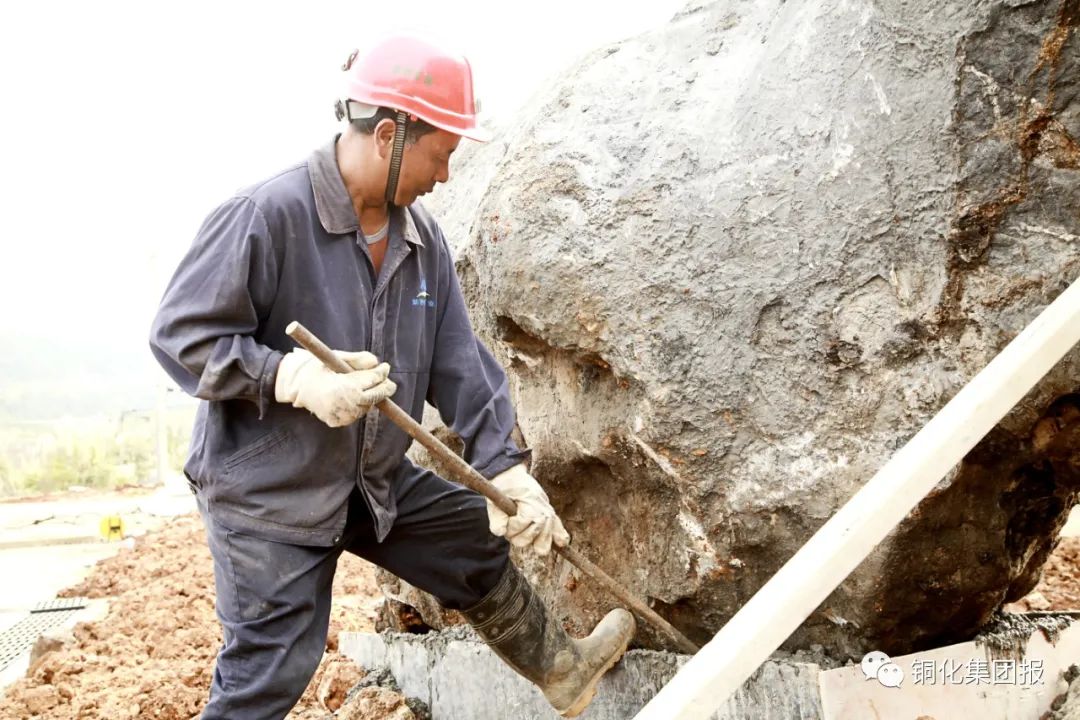 威尼斯87978797(中国)老品牌-官方网站