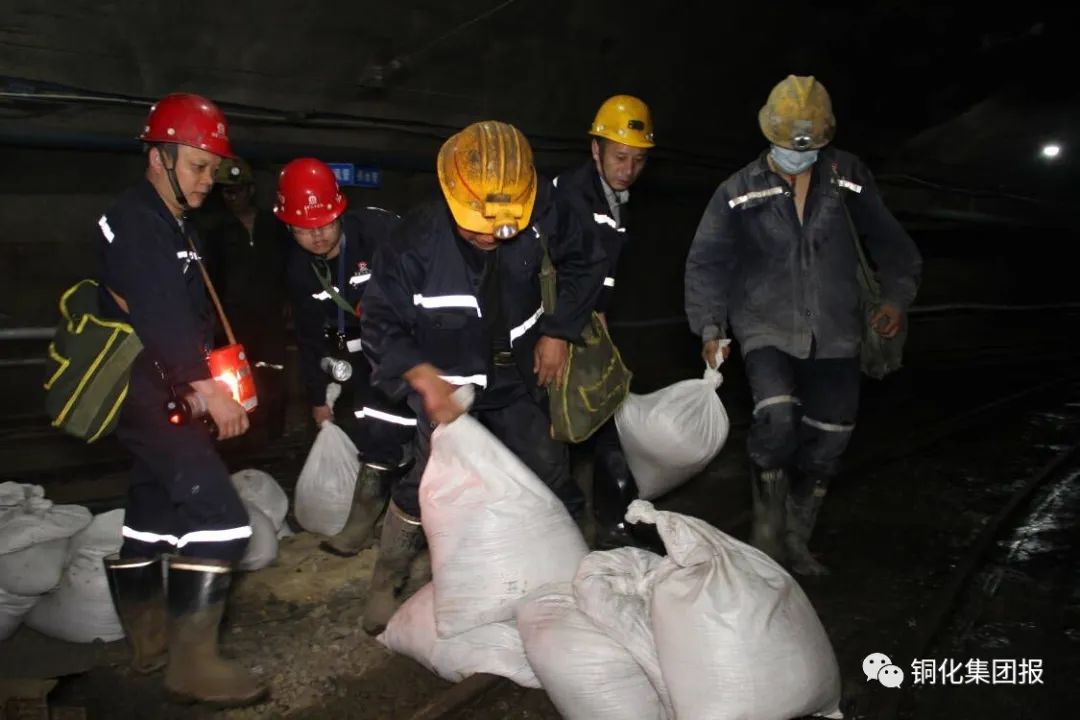 威尼斯87978797(中国)老品牌-官方网站