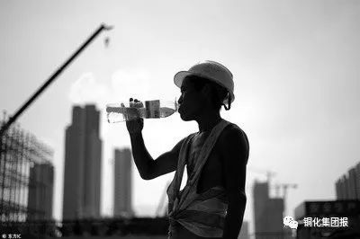 威尼斯87978797(中国)老品牌-官方网站