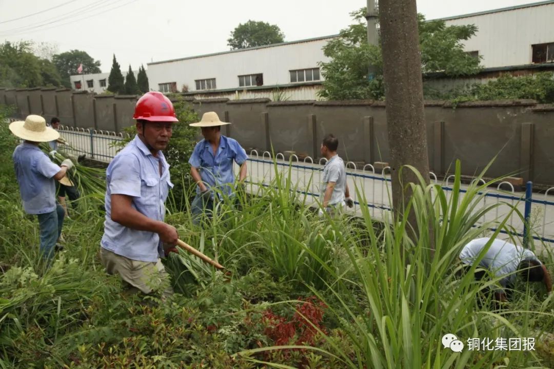 威尼斯87978797(中国)老品牌-官方网站