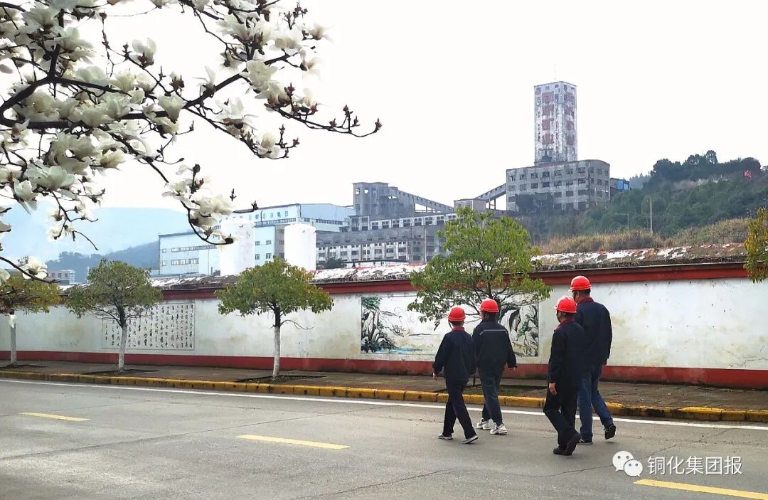 威尼斯87978797(中国)老品牌-官方网站