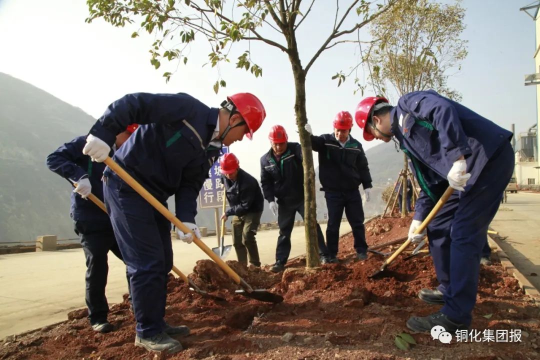 威尼斯87978797(中国)老品牌-官方网站