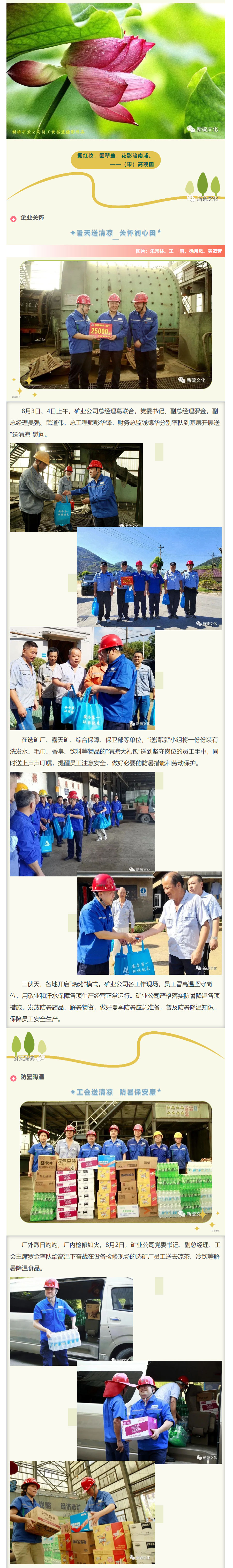 威尼斯87978797(中国)老品牌-官方网站