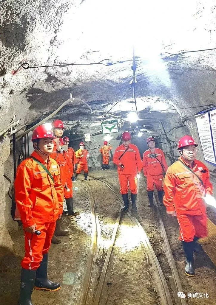 威尼斯87978797(中国)老品牌-官方网站