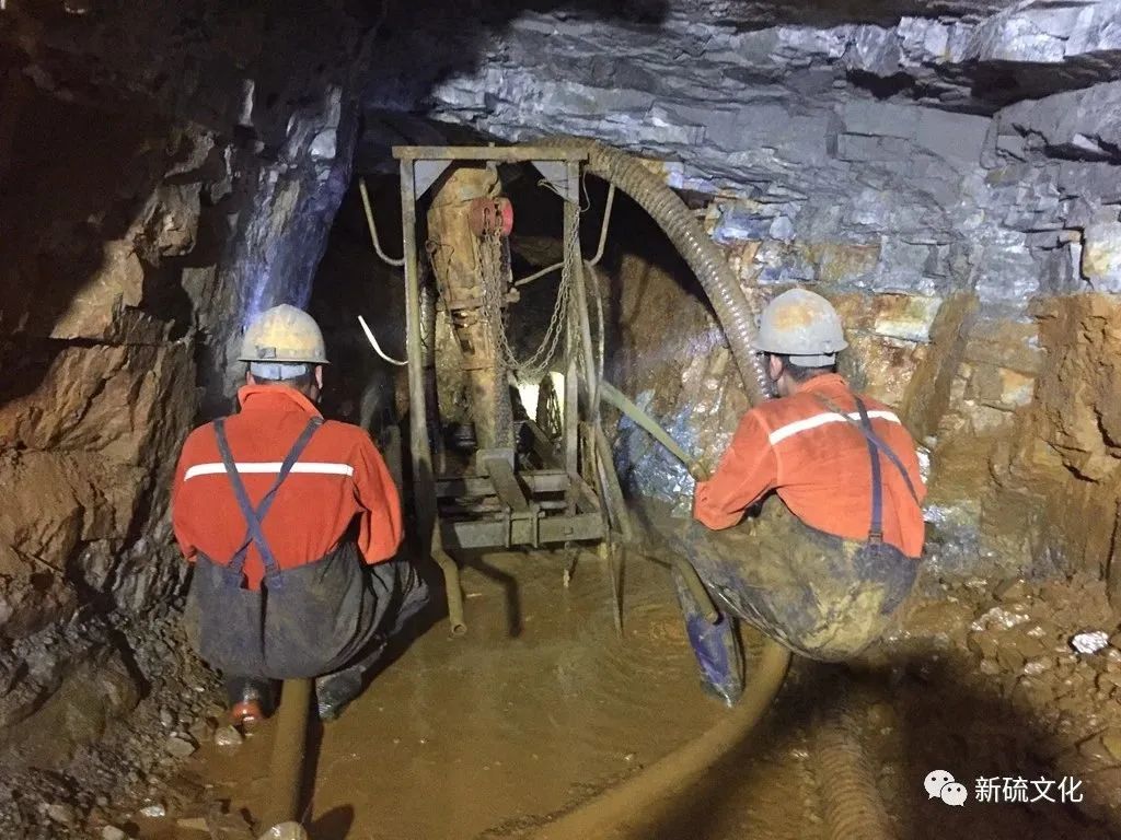 威尼斯87978797(中国)老品牌-官方网站