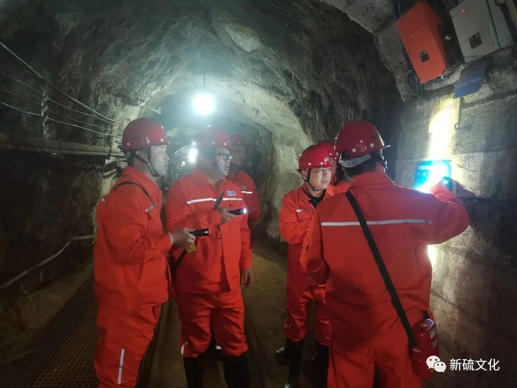 威尼斯87978797(中国)老品牌-官方网站