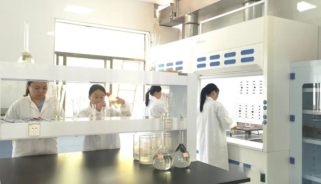 威尼斯87978797(中国)老品牌-官方网站