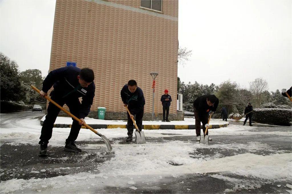 威尼斯87978797(中国)老品牌-官方网站