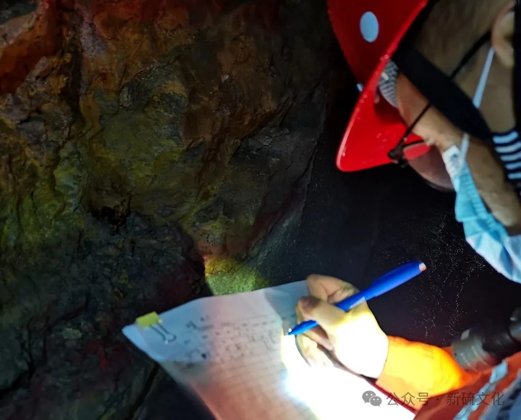 威尼斯87978797(中国)老品牌-官方网站