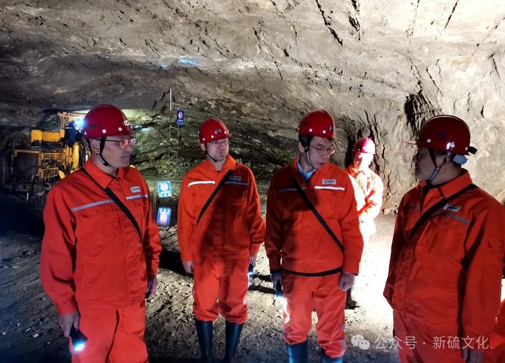 威尼斯87978797(中国)老品牌-官方网站