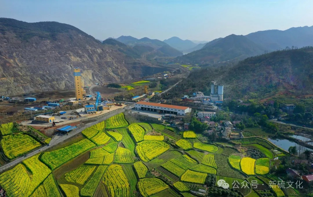 威尼斯87978797(中国)老品牌-官方网站