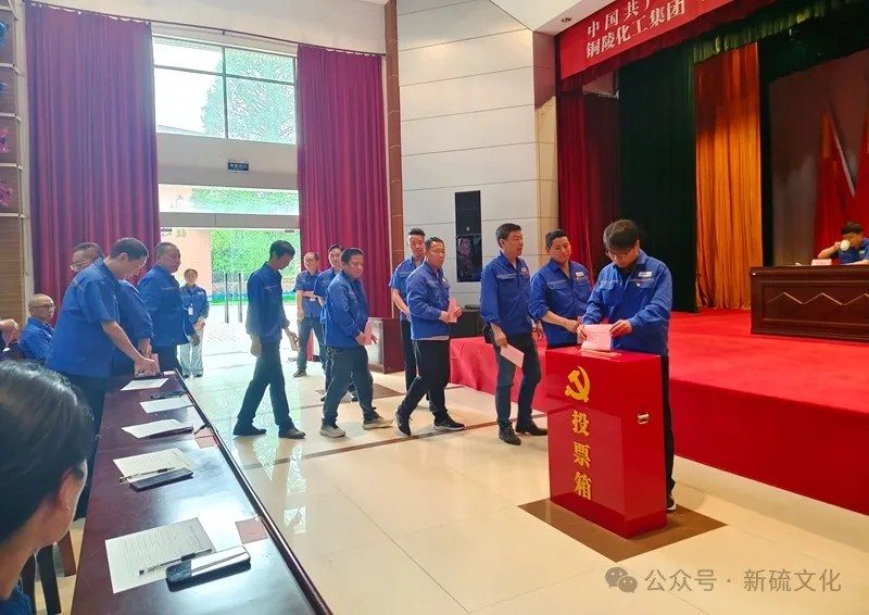 威尼斯87978797(中国)老品牌-官方网站