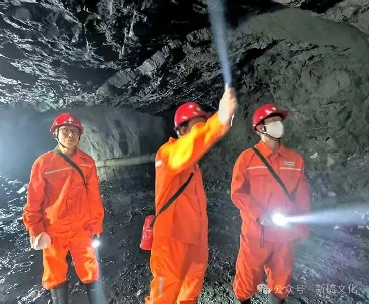 威尼斯87978797(中国)老品牌-官方网站