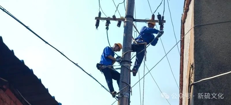 威尼斯87978797(中国)老品牌-官方网站