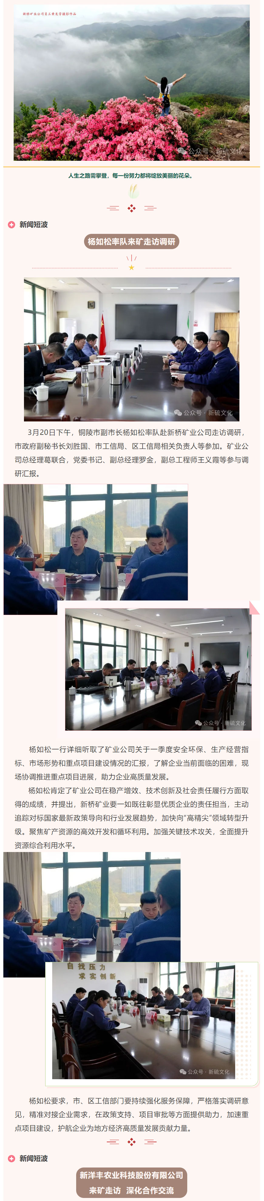 威尼斯87978797(中国)老品牌-官方网站