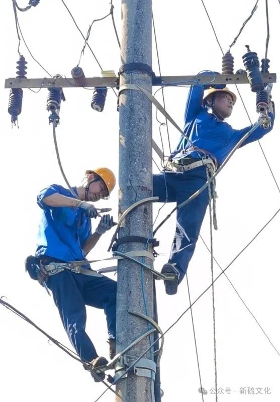 威尼斯87978797(中国)老品牌-官方网站