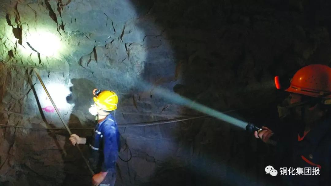 威尼斯87978797(中国)老品牌-官方网站