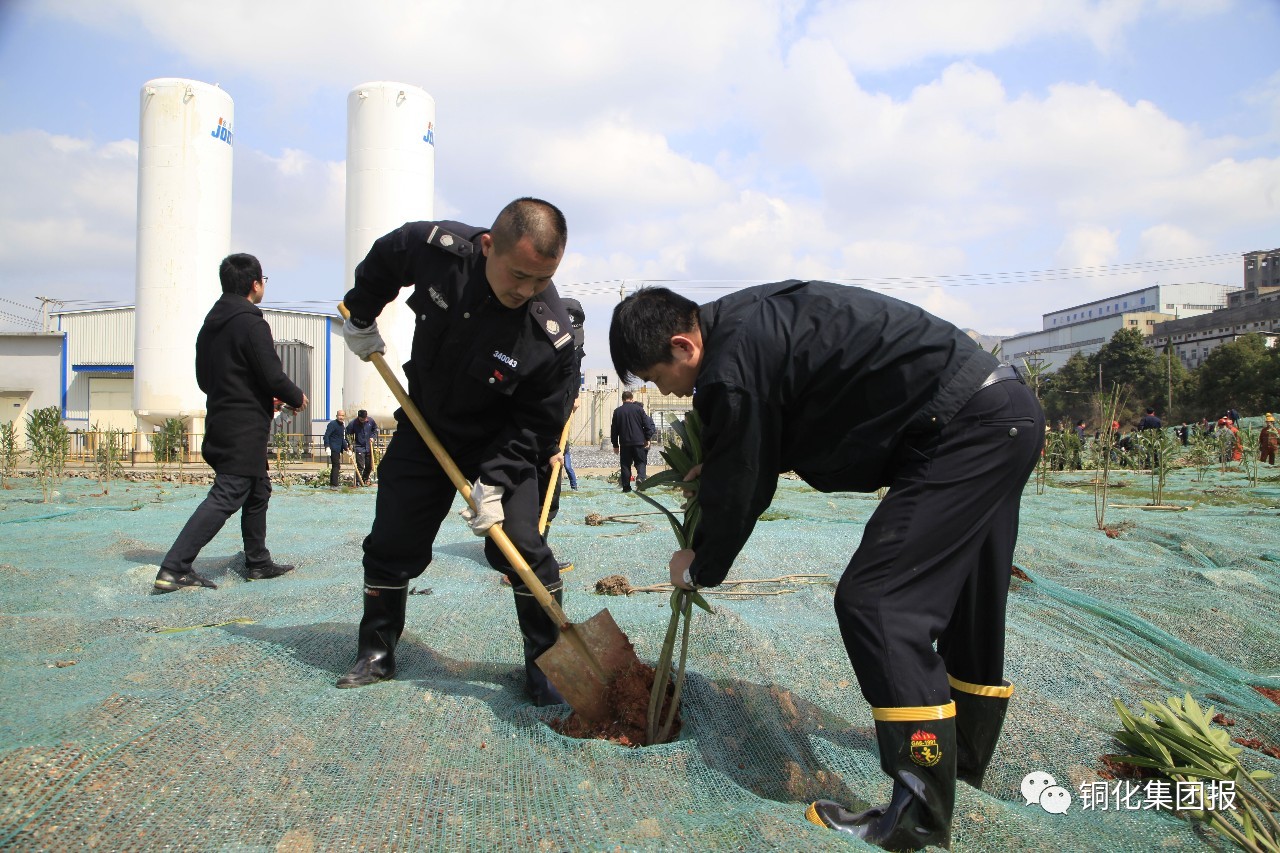威尼斯87978797(中国)老品牌-官方网站