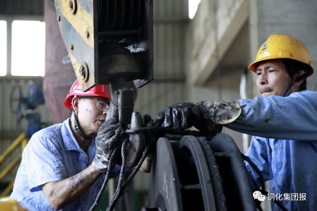 威尼斯87978797(中国)老品牌-官方网站