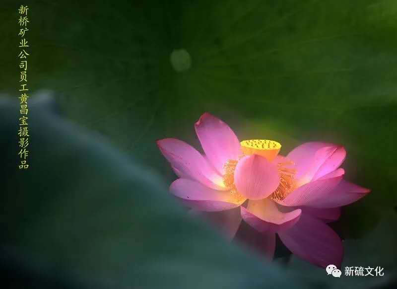 威尼斯87978797(中国)老品牌-官方网站