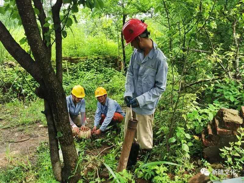 威尼斯87978797(中国)老品牌-官方网站