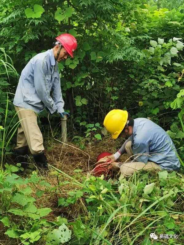 威尼斯87978797(中国)老品牌-官方网站