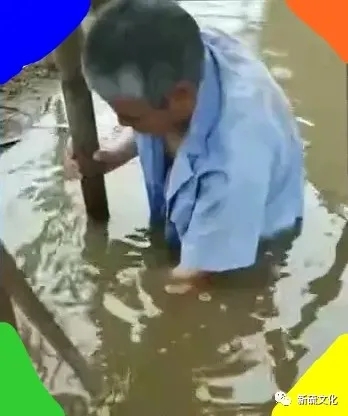 威尼斯87978797(中国)老品牌-官方网站