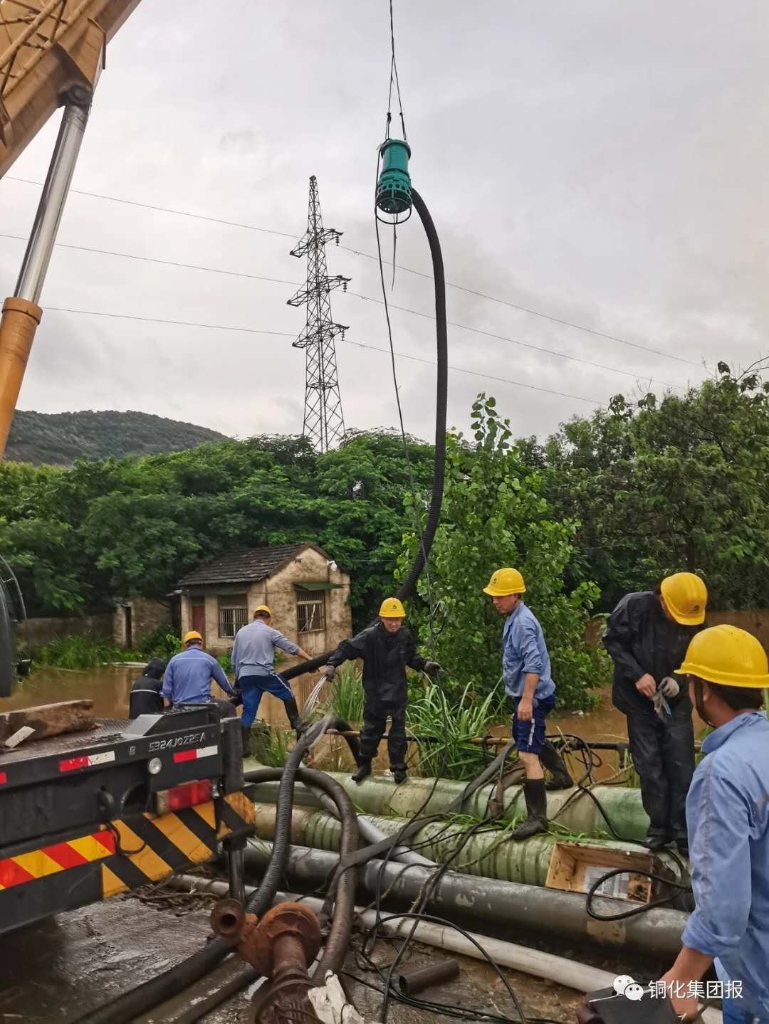 威尼斯87978797(中国)老品牌-官方网站