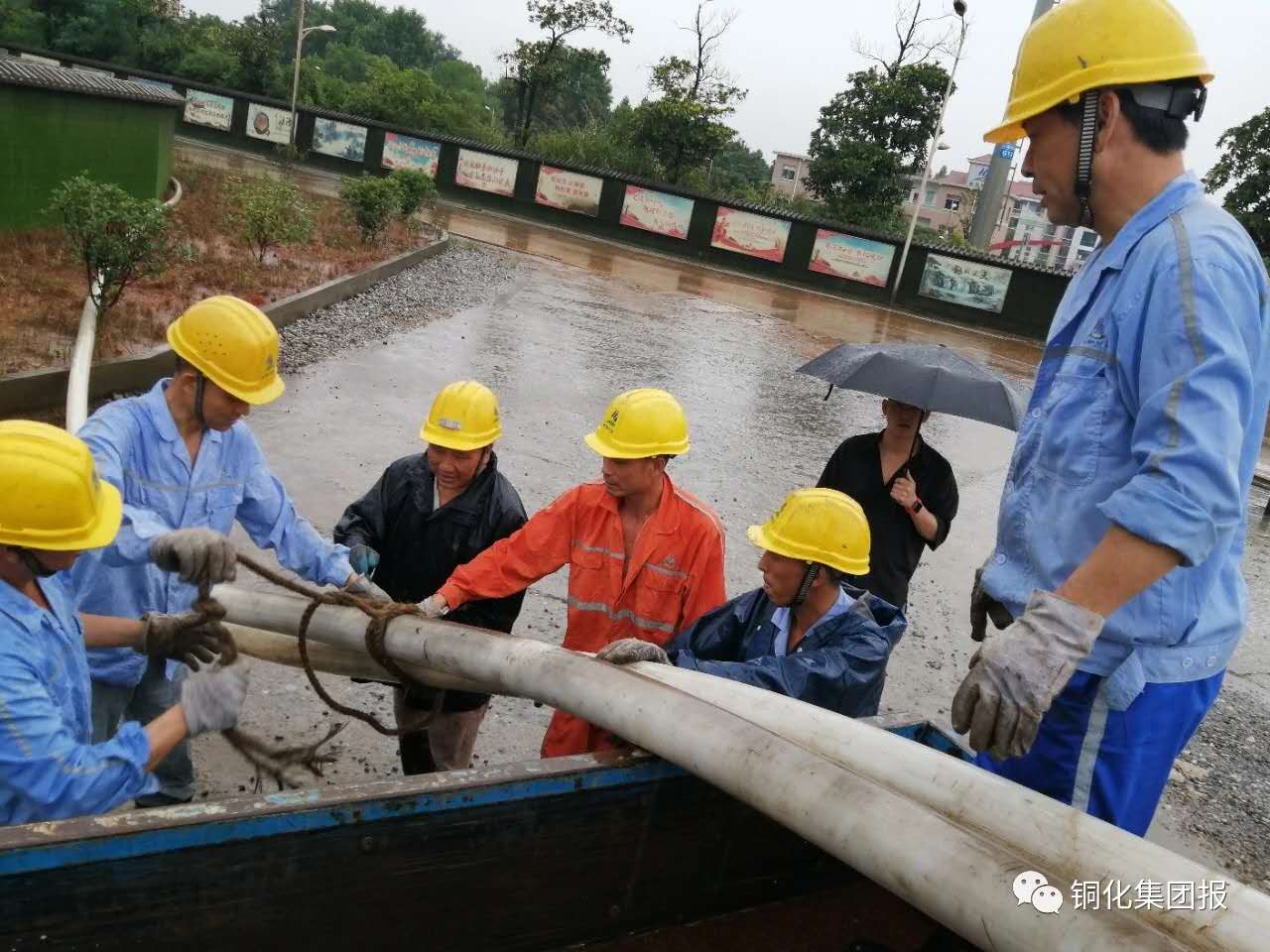 威尼斯87978797(中国)老品牌-官方网站