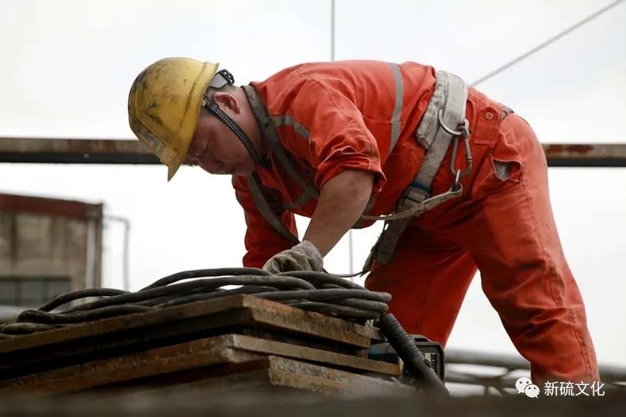 威尼斯87978797(中国)老品牌-官方网站