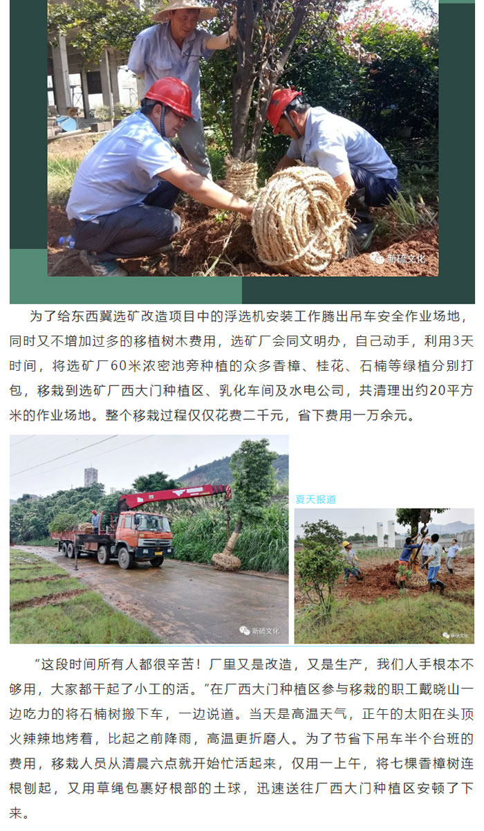 威尼斯87978797(中国)老品牌-官方网站