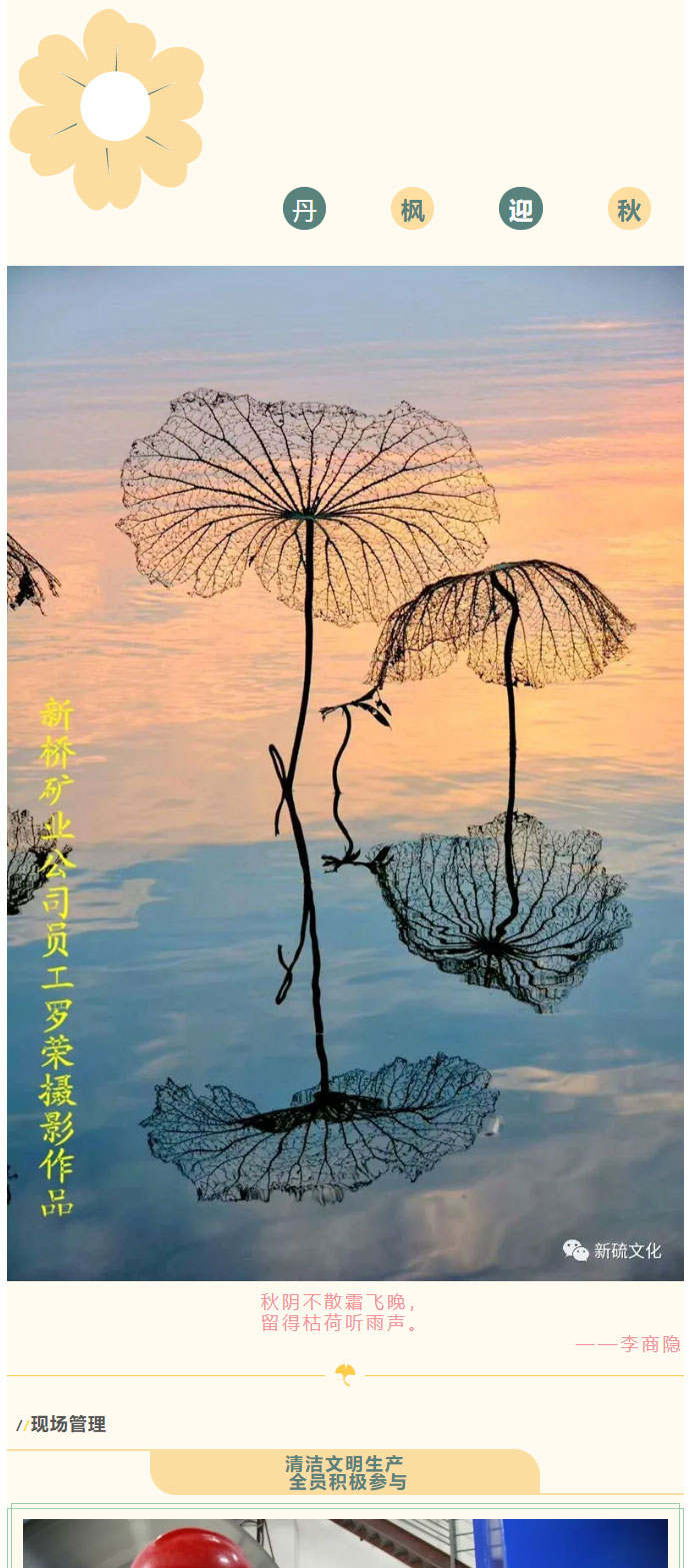 威尼斯87978797(中国)老品牌-官方网站