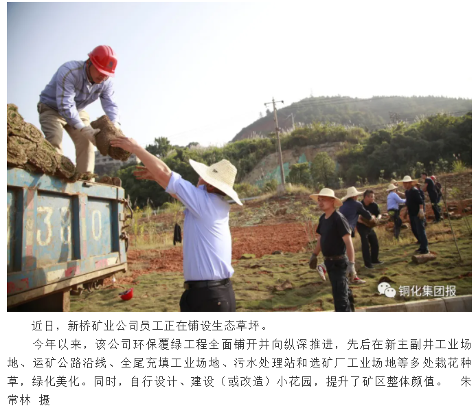 威尼斯87978797(中国)老品牌-官方网站