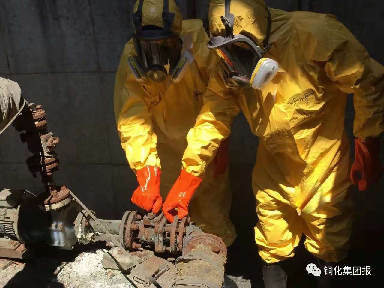 威尼斯87978797(中国)老品牌-官方网站